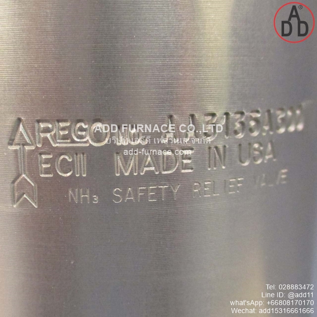 Rego AA3135A300 Safety Relief Valve (4)